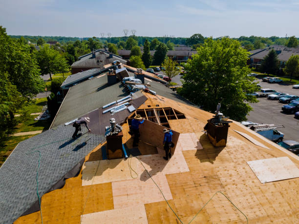 Best Emergency Roof Repair  in Wapello, IA