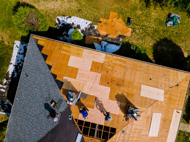 Best Roof Repair Services  in Wapello, IA