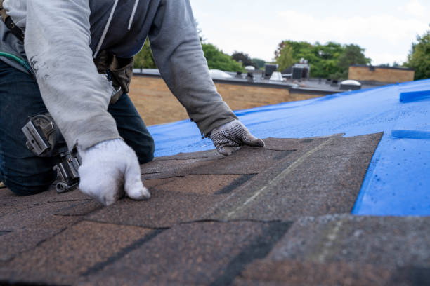 Best Best Roofing Contractors  in Wapello, IA