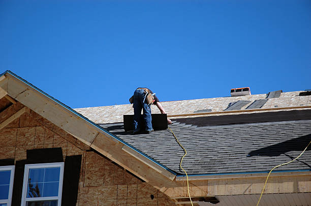 Best Slate Roofing Contractor  in Wapello, IA