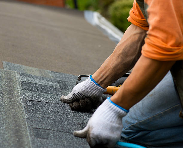 Best Flat Roof Repair Services  in Wapello, IA
