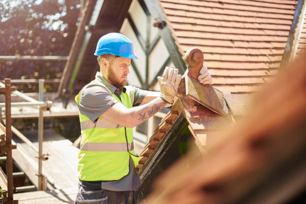 Best Commercial Roofing Services  in Wapello, IA