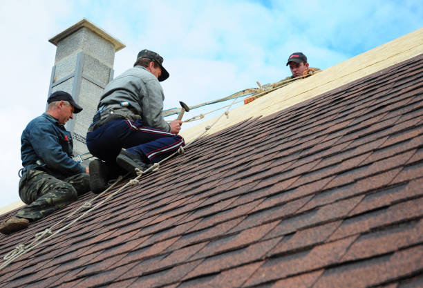 Best Residential Roof Replacement  in Wapello, IA